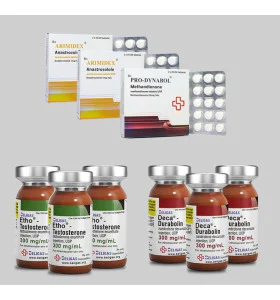Beligas 12 Wochen Intensiver Masseaufbau-Stack plus Anti-Östrogen – Int