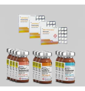 Beligas 12 Wochen Competition-Prep-Stack plus Anti-Östrogen – Int