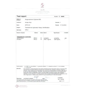 Alternative view of Testocyp 200 mg 10 Ml Dragon Pharma