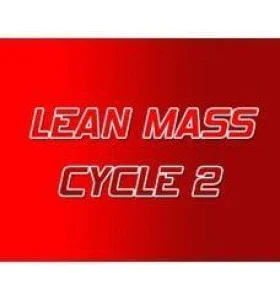 Lean Mass Zyklus 2