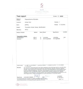Alternative view of Nolvadex 20 mg 100 Tabletten Dragon Pharma