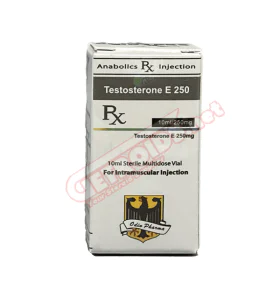 Testosteron-Enantat 250 mg 10 ml Odin Pharma