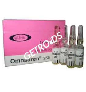 Omnadren 5 Ampullen 1 ml Jelfa INT